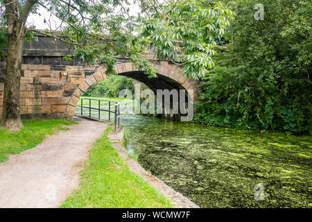The leeds liverpool canal at Aspull near to Wigan in Greater Manchester Stock Photo