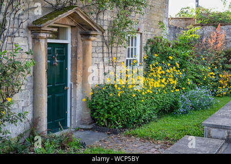 Heliopsis helianthoides. False sunflower plant outside a cotswold stone house in the village of Overbury, Cotswolds, Worcestershire, England Stock Photo