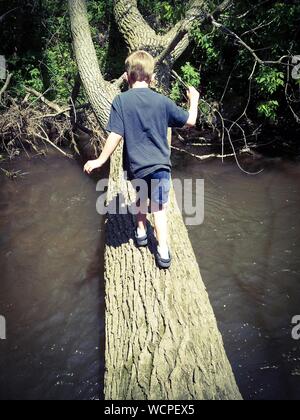 Full Length Rear View Of Boy Walking On Fallen Tree Over River
