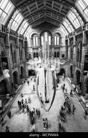 London, United Kingdom, June 30 2019: Crowd of people at the main hall of the famous National History museum in London UK. Stock Photo