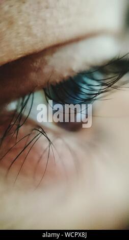 Close-up Of Eye