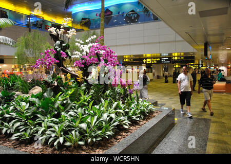 SINGAPORE; February 13: Unidentified people walk past an impressive orchid display on February 13, 2009 in Changi International Airport, Singapore Stock Photo