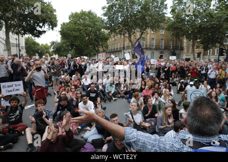 Westminster, London, UK. 28th Aug, 2019. The protesters outside Downing Street. Thousands of outraged protesters gather in College Green, Parliament Square and later outside Downing Street in Westminster for a 'Stop the Coup' protest against the planned prorogation of Parliament in September, which was today ordered by the government, and approved by the Queen at Balmoral. Credit: Imageplotter/Alamy Live News Stock Photo