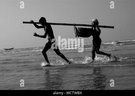 Men carry basket full of fish, bought from a trawler, at Dublar Char, on the southern border of the Sundarbans, facing the Bay of Bengal. Khulna, Bangladesh. November 1, 2009. Stock Photo