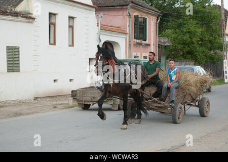 Horse and cart moving along the main street of Malancrav village, Transylvania, Romania Stock Photo