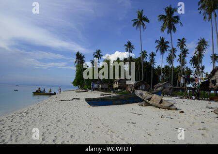 View Of Palm Trees On Calm Beach
