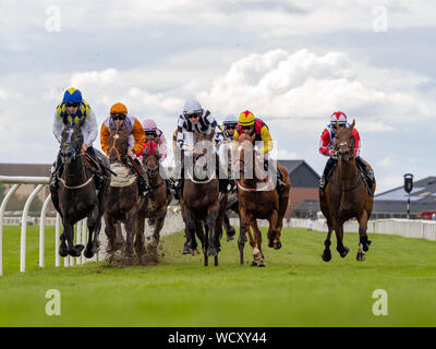 The 'AIUA Handicap' Musselburgh 28th August 2019 - Jockey David Allan (third from right) on Catch My Breath, won the race - trained by John Ryan. Stock Photo