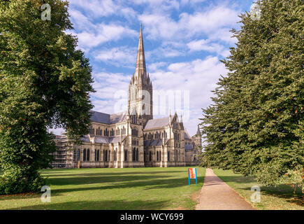 View of Salisbury Cathedral, from the North East and framed by trees, with scaffolding visible on east wing Stock Photo