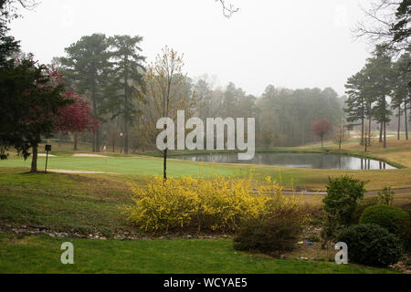 Spring Tree Blooms, Hot Springs, Arkansas Stock Photo - Alamy