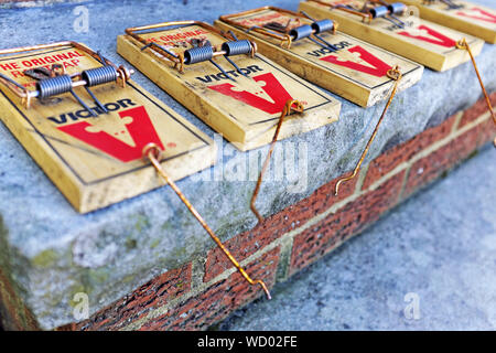 Victor trap hi-res stock photography and images - Alamy