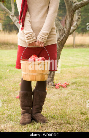 Young woman holding bushel basket of apples in orchard. People outdoors in fall season enjoying nature in the country. Stock Photo