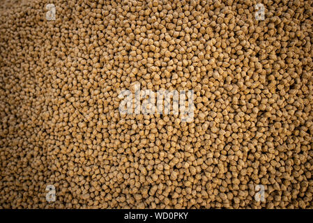 Balanced Animal Food Pellets for Fish, Cow, Pig, Chicken, Duck, Horse, etc. Made Out of Corn, Soya and Meat Flours Stock Photo