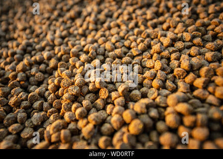 Balanced Animal Food Pellets for Fish, Cow, Pig, Chicken, Duck, Horse, etc. Made Out of Corn, Soya and Meat Flours Stock Photo
