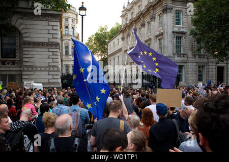 London, UK. 28th Aug, 2019. A spontaneous protest outside Downing St and Parliament Square, London on the news that Prime Minister Johnson intends to 'Prorogue' the Uk parliament at the height of the Brexit crisis Credit: Gareth Morris/Alamy Live News Stock Photo