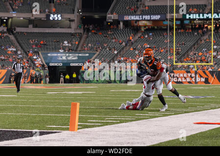 Cincinnati Bengals wide receiver Ventell Bryant (81) after an NFL football  preseason game between the Indianapolis Colts and the Cincinnati Bengals at  Paul Brown Stadium in Cincinnati, OH. Adam Lacy/CSM Stock Photo 