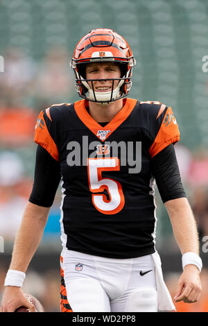 Cincinnati Bengals Quarterback Ryan Finley (5) Is Sacked By New York 