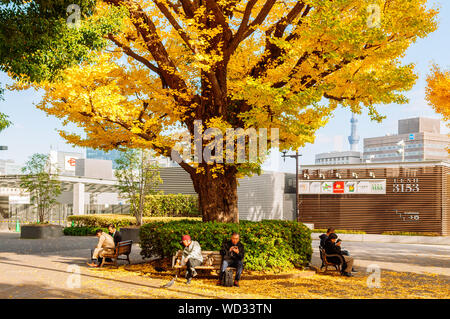 NOV 29, 2018 Tokyo, Japan - Japanese people sit on wooden benches under autumn yellow big gingo tree. Beautiful Ueno park in autumn Stock Photo