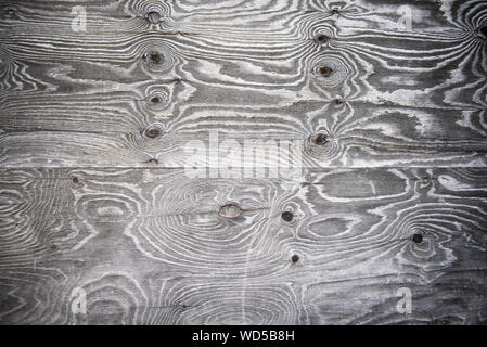 Background image. Abstract graphic high-contrast the texture of the wood with psychedelic stains-patterns. Stock Photo