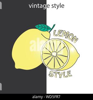 Lime fruit botanical illustration vintage engraving style black and ...