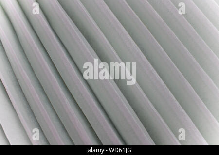 Air filter for a car on green  background. Car filter close up.  High resolution image gallery. Stock Photo