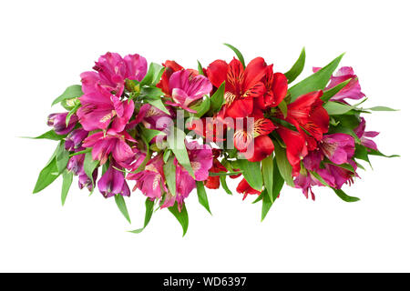 Red and pink alstroemeria flowers branch on white background isolated closeup, lily flowers bunch for decorative border, holiday poster design element Stock Photo