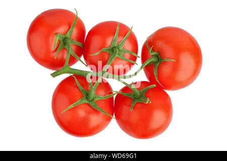 Five red ripe tomatoes with green leaves on one branch on white background isolated close up, beautiful red cherry tomatoes bunch, design element Stock Photo