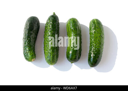 Cucumbers on a white background Stock Photo