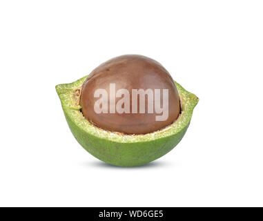 macadamia nuts isolated on white background Stock Photo
