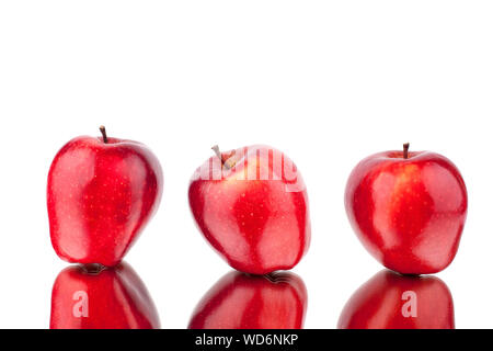 Three red apples on a white mirror background with reflection isolated close up Stock Photo