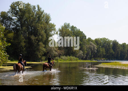 two people wading Ticino river on horseback at Bernate Ticino, lombardia, Italy. Stock Photo