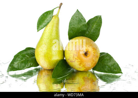 Two pears with green leaves on white mirror background with water drops and reflection isolated close up Stock Photo