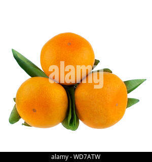Orange mandarines or tangerines with green leaves on a white background isolated close up Stock Photo