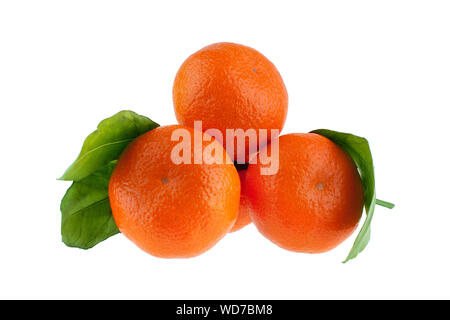 Orange mandarines or tangerines with green leaves on a white background isolated close up Stock Photo