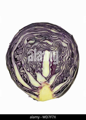 isolated cut red cabbage Stock Photo