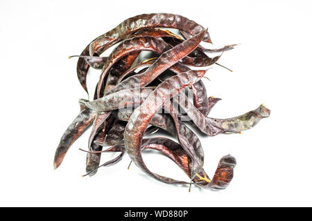 Gleditsia triacantnos, pods on a white background Stock Photo