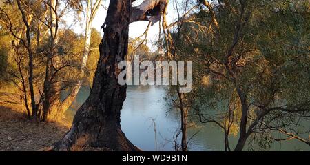 Murrumbidgee River near Maude on the Hay Plain, southern central NSW Stock Photo