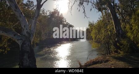 Murrumbidgee River near Maude on the Hay Plain, southern central NSW Stock Photo