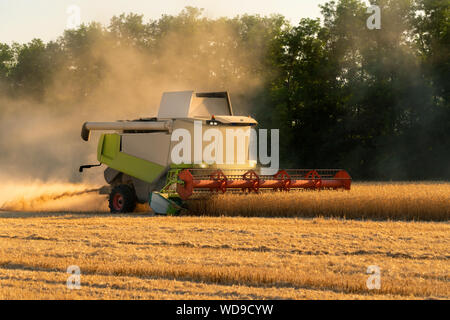 Autonomous harvester on the field. Stock Photo
