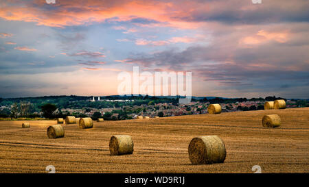 Round Straw Bales in the Landscape Stock Photo