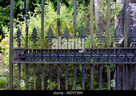 Neglected rusting black painted Victorian iron gate with some growing algae. Stock Photo