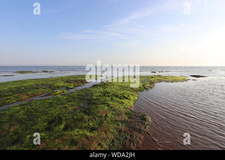 Sunny day at Titchwell Marsh and beach reserve, with blue skies, breenery, and a view of the horizon. Stock Photo