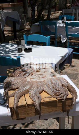 Crete, Greece. June 2019. A large octopus on a wooden box drying in the sun in a Cretan restaurant. Stock Photo