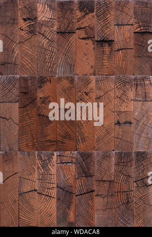 Cut ends of logs texture or background. Stock Photo
