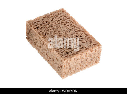 Big porous sponge isolated on white background Stock Photo - Alamy