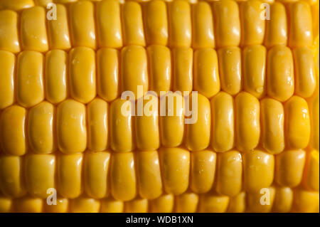 Extreme close up of yellow corn cobs texture, horizontal Stock Photo