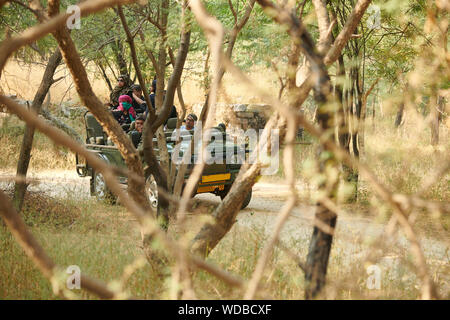 A safari jeep Inside the Jhalana Leopard Sanctuary, situated inside the city of Jaipur. Stock Photo