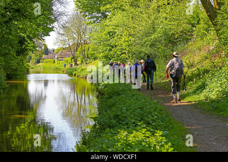 A group of elderly walkers or ramblers walking along a canal towpath on the Macclesfield branch of the Trent and Mersey Canal Cheshire England UK Stock Photo