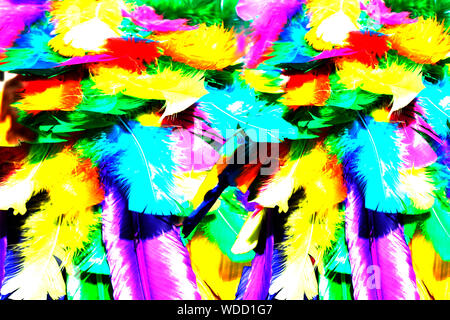 Colorful bird feathers abstract, background picture Stock Photo