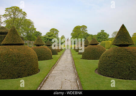 A pathway runs between topiary on a well manicured lawn on a country estate in England Stock Photo