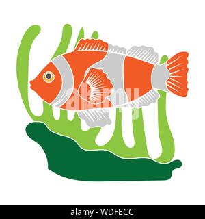 Clownfish and anemone Icon in colour design isolated on white background. Australia symbol stock vector illustration. Stock Vector